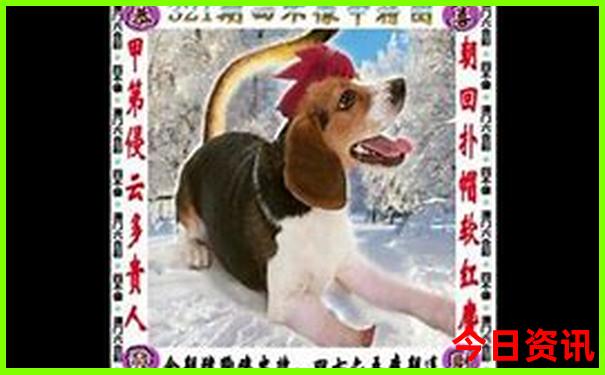 五指山有什么好玩的旅游景点
